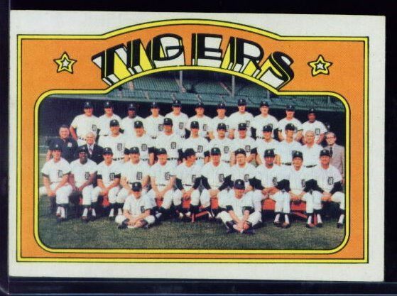 487 Tigers Team